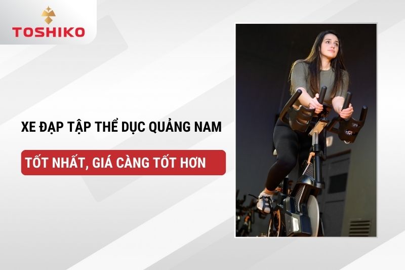 Xe đạp tập thể dục Quảng Nam chất lượng, giá càng tốt hơn