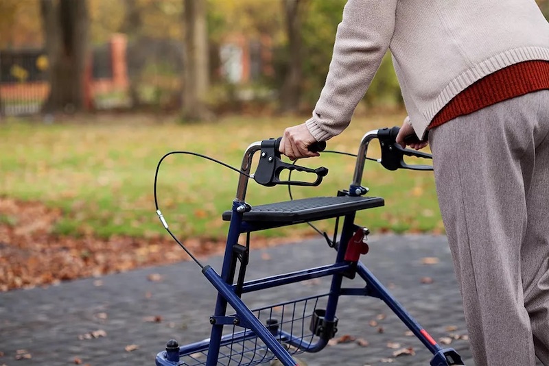 Xe đẩy tập đi Rollator