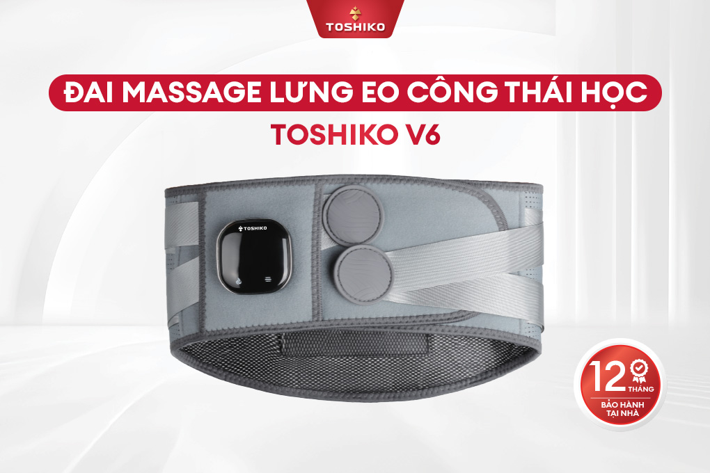 Đai massage lưng eo công thái học Toshiko V6