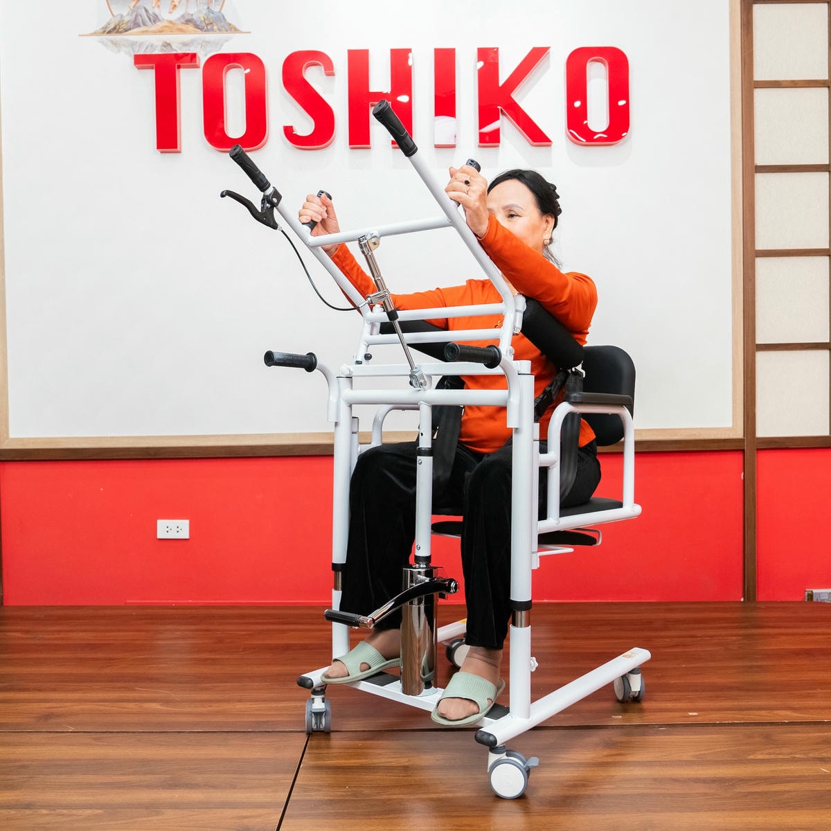 Ghế nâng hạ đa năng Toshiko P1 cho người già, người bệnh, tai biến, khuyết tật khó di chuyển