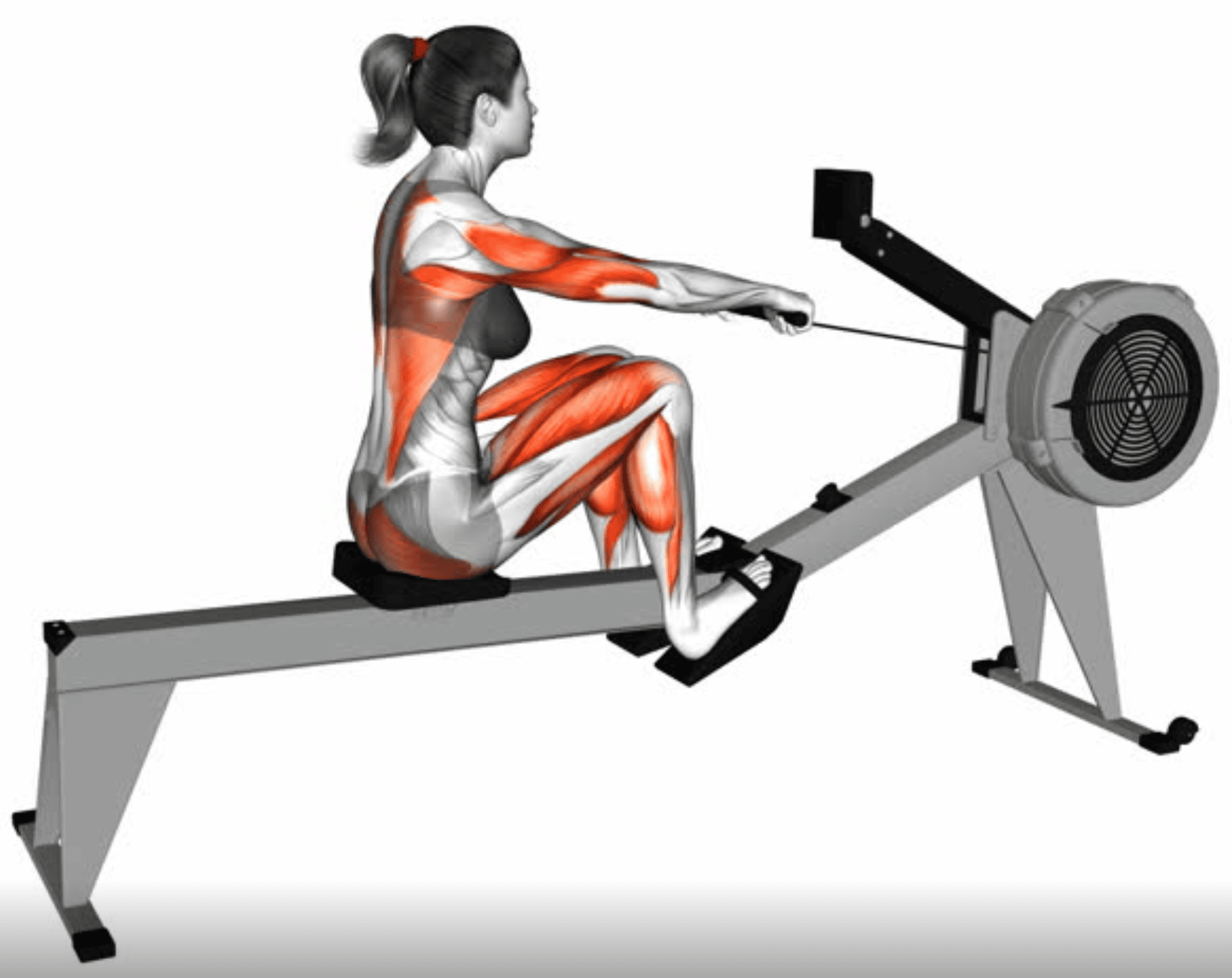 Máy tập thể dục chèo thuyền giúp tác động lên nhiều nhóm cơ