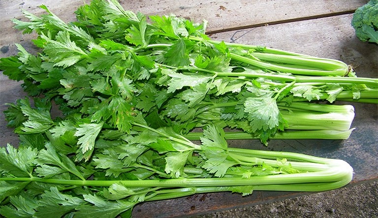 Nước ép cần tây đơn giản, dễ thực hiện