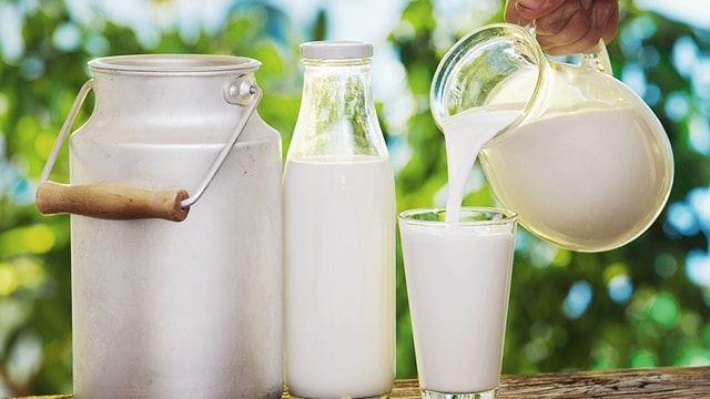 Uống nhiều sữa tươi không đường có tăng cân không