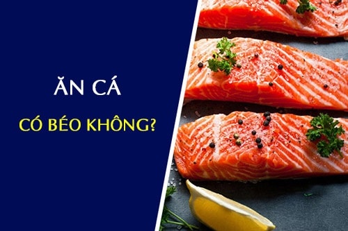 Ăn cá có béo hay mập không? Bao nhiêu calo ? Ăn cá nào để giảm cân?