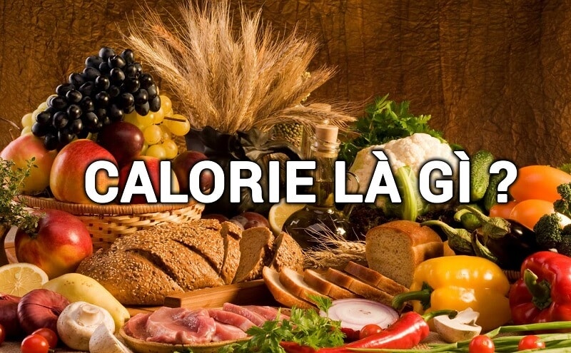 Calo là gì