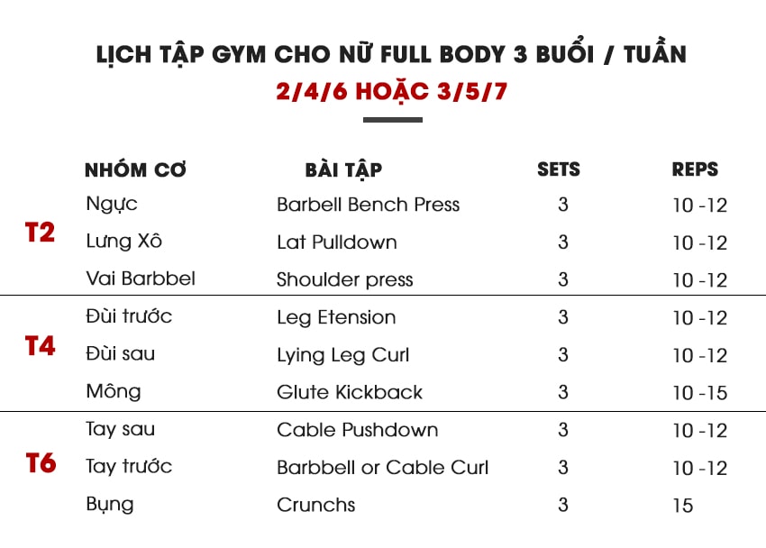 Lịch tập gym nữ cho người mới bắt đầu có thể tham khảo