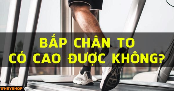 Bắp chân to có cao được không? cách tập tăng chiều cao