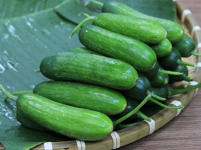 Nên ăn dưa chuột vào buổi tối để tăng cường hiệu quả giảm cân