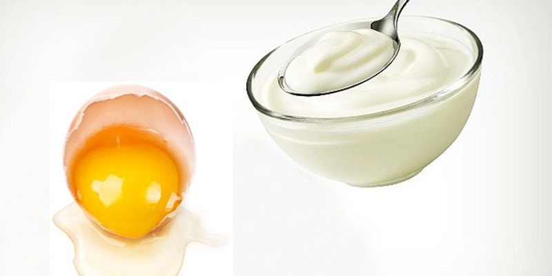 Cả sữa đặc và trứng gà đều rất giàu dinh dưỡng