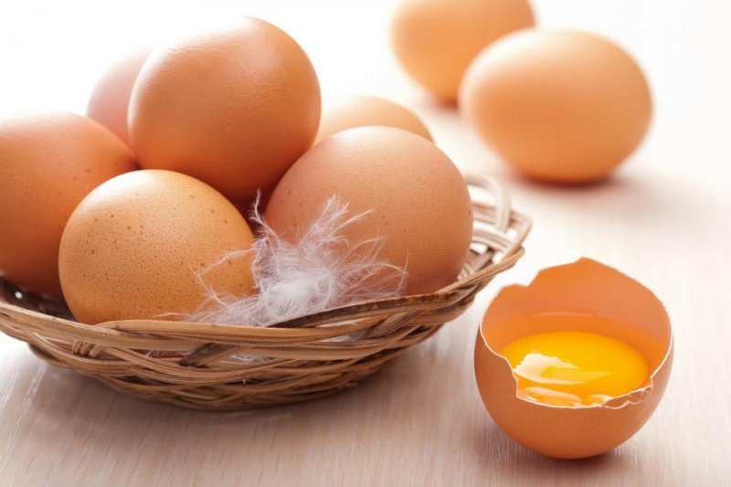 Trứng gà rất giàu dưỡng chất