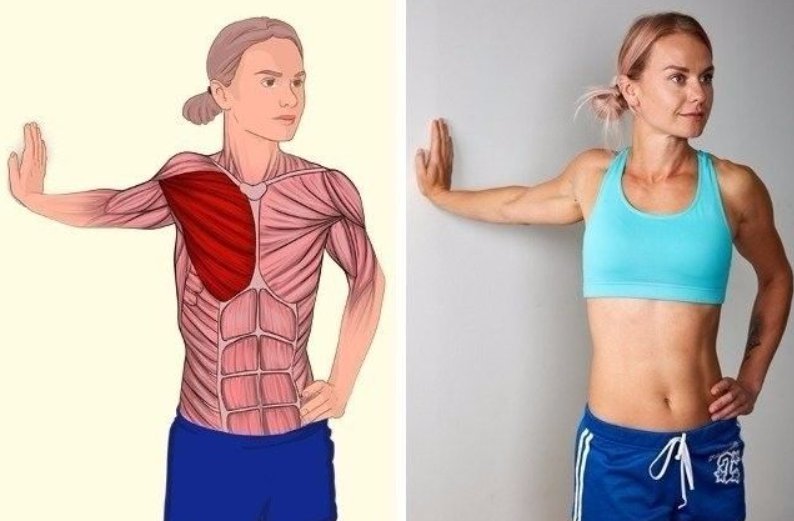 12 bài tập vai tại nhà hiệu quả phù hợp với cả nam và nữ, ảnh 5