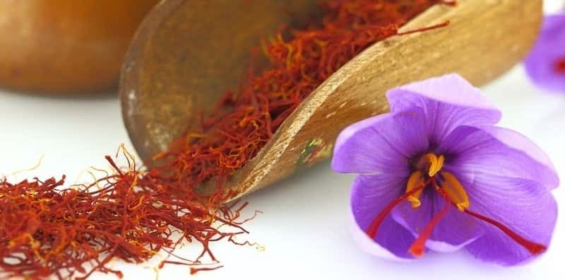 Nhụy hoa nghệ tây có tác dụng phòng chống ung thư