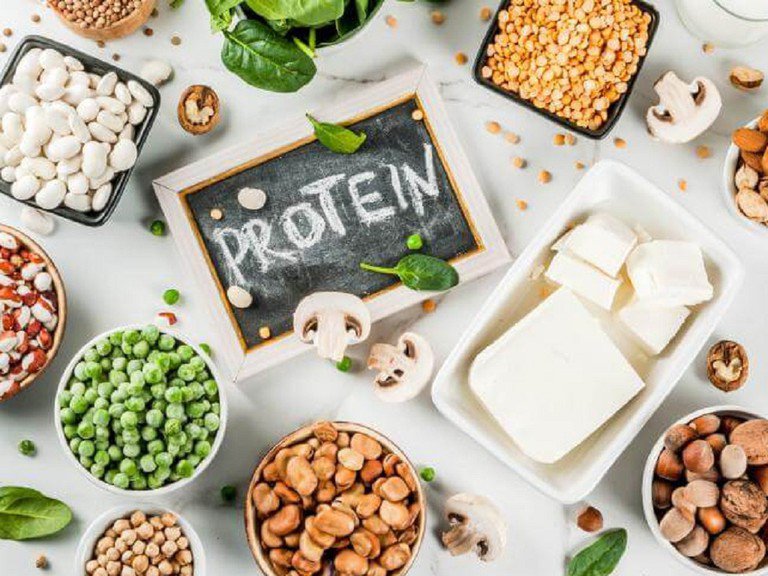 Protein thực vật và những điều quan trọng cần biết