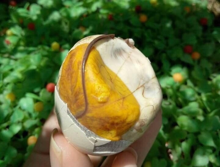 Nên ăn hột gà lộn với tần suất hợp lý