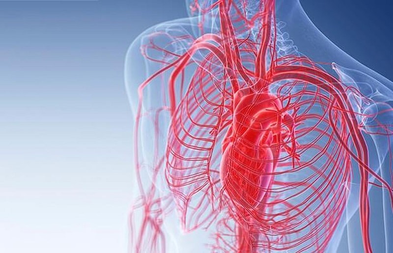 Cải thiện lưu thông máu nhờ ghế mát xa