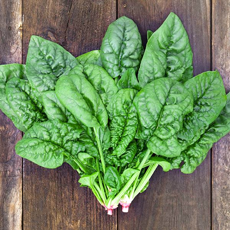 30g cải bó xôi có thể cung cấp tới 56% nhu cầu vitamin A hàng ngày của cơ thể