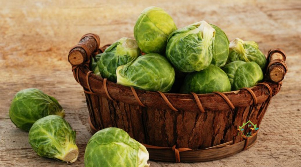 Cải Brussel cung cấp nguồn vitamin và khoáng chất dồi dào