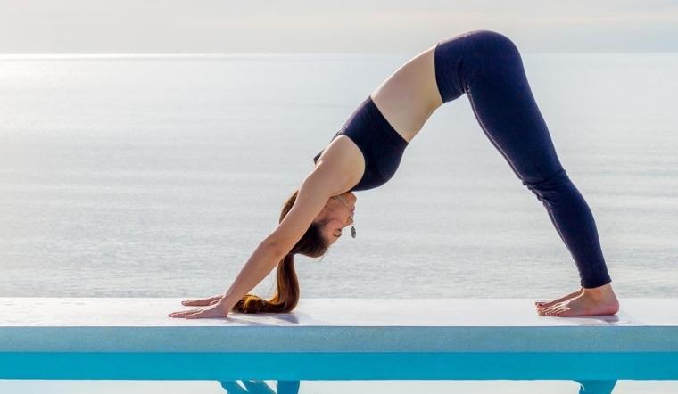 Tìm hiểu về tư thế chó úp mặt trong Yoga có gì đặc sắc, ảnh 10