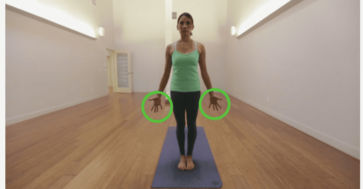 Tìm hiểu về tư thế chó úp mặt trong Yoga có gì đặc sắc, ảnh 3