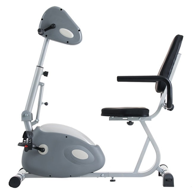Máy tập cho người tai biến Dual E-Bike YD698