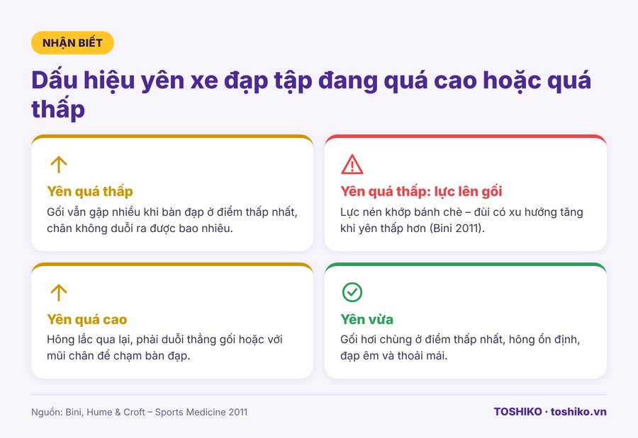 dấu hiệu yên xe đạp tập quá cao hoặc quá thấp