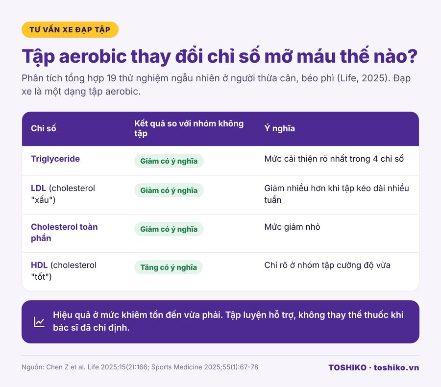 Đạp xe giảm mỡ máu: tác động của tập aerobic lên triglyceride, LDL, HDL, cholesterol