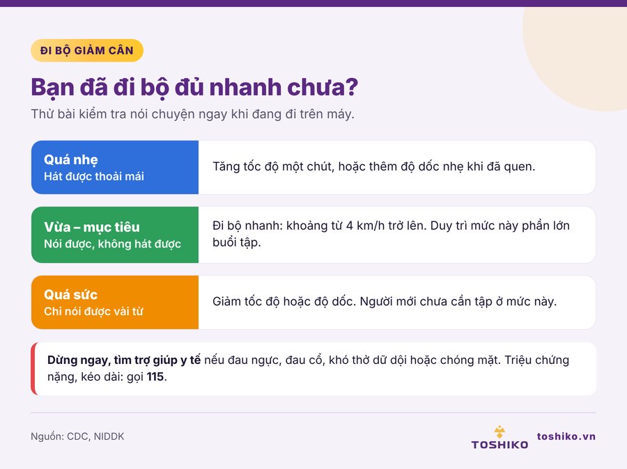Mức cường độ đi bộ và dấu hiệu cần dừng tập ở người thừa cân