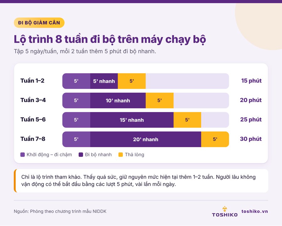 Lộ trình 8 tuần đi bộ giảm cân cho người thừa cân trên máy chạy bộ