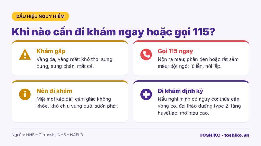Dấu hiệu nguy hiểm của bệnh gan cần đi khám hoặc gọi cấp cứu 115