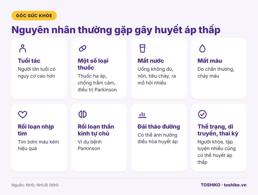 Nguyên nhân gây huyết áp thấp: tuổi tác, thuốc, mất nước, bệnh lý