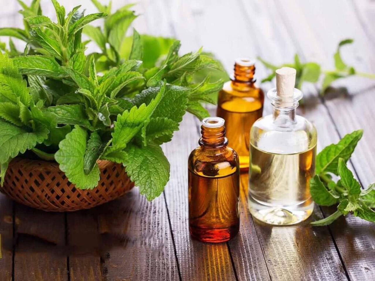 Sử dụng tinh dầu bạc hà để xoa bóp làm dịu vùng đau mỏi