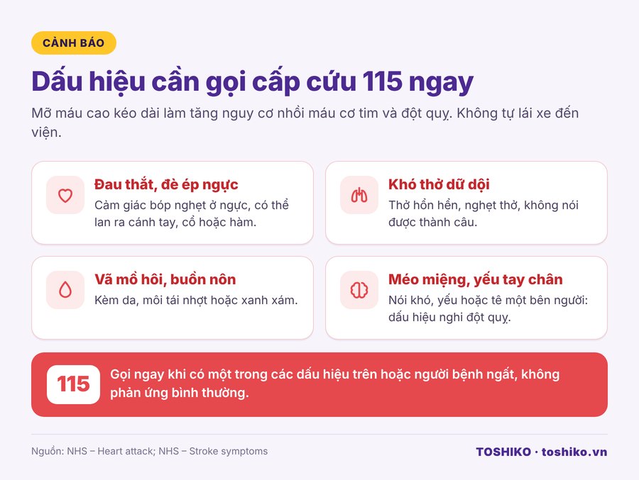 Dấu hiệu nhồi máu cơ tim và đột quỵ ở người mỡ máu cao cần gọi cấp cứu 115