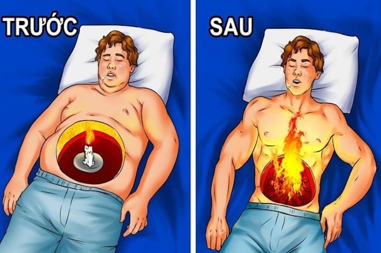 Khi ngủ các cơ quan nội tạng vẫn đốt cháy năng lượng
