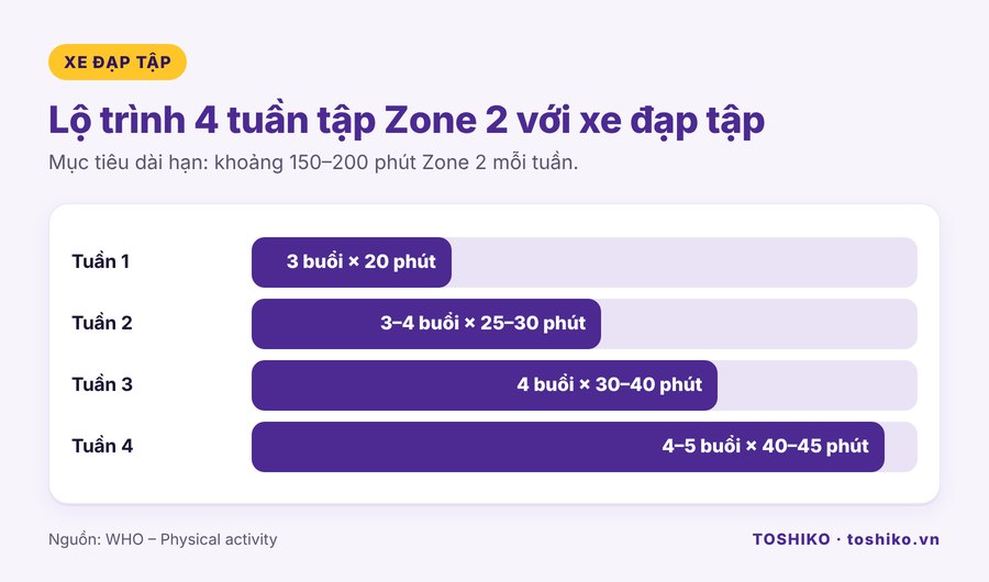 Lộ trình 4 tuần tập Zone 2 với xe đạp tập