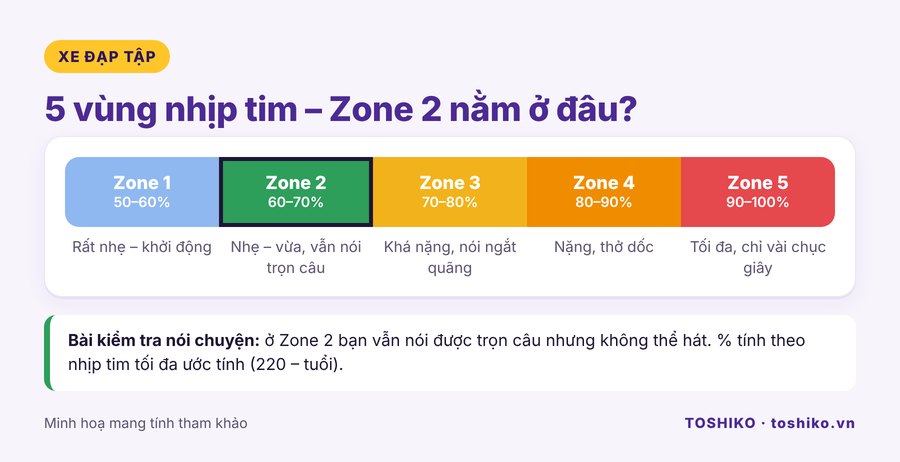 5 vùng nhịp tim và vị trí của Zone 2
