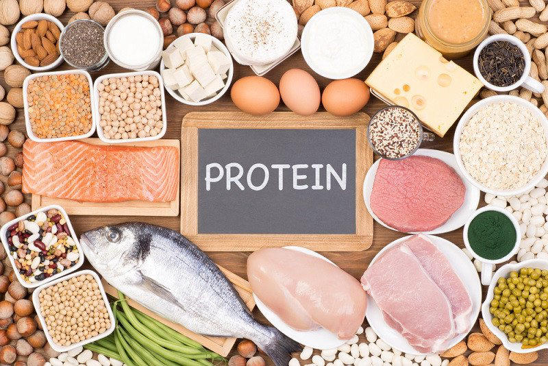Protein là chất dinh dưỡng hỗ trợ rất tốt trong quá trình giảm cân