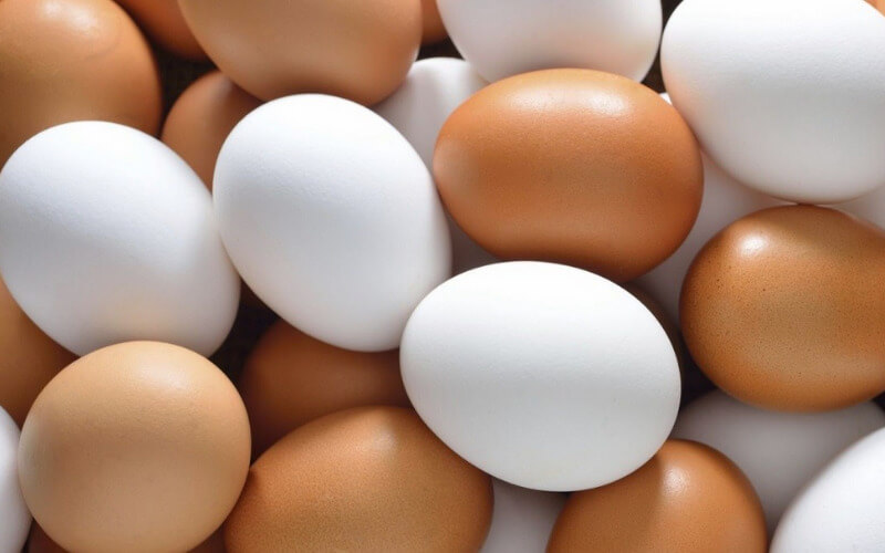 Lượng calo giữa trứng gà ta và trứng gà công nghiệp là tương đương nhau