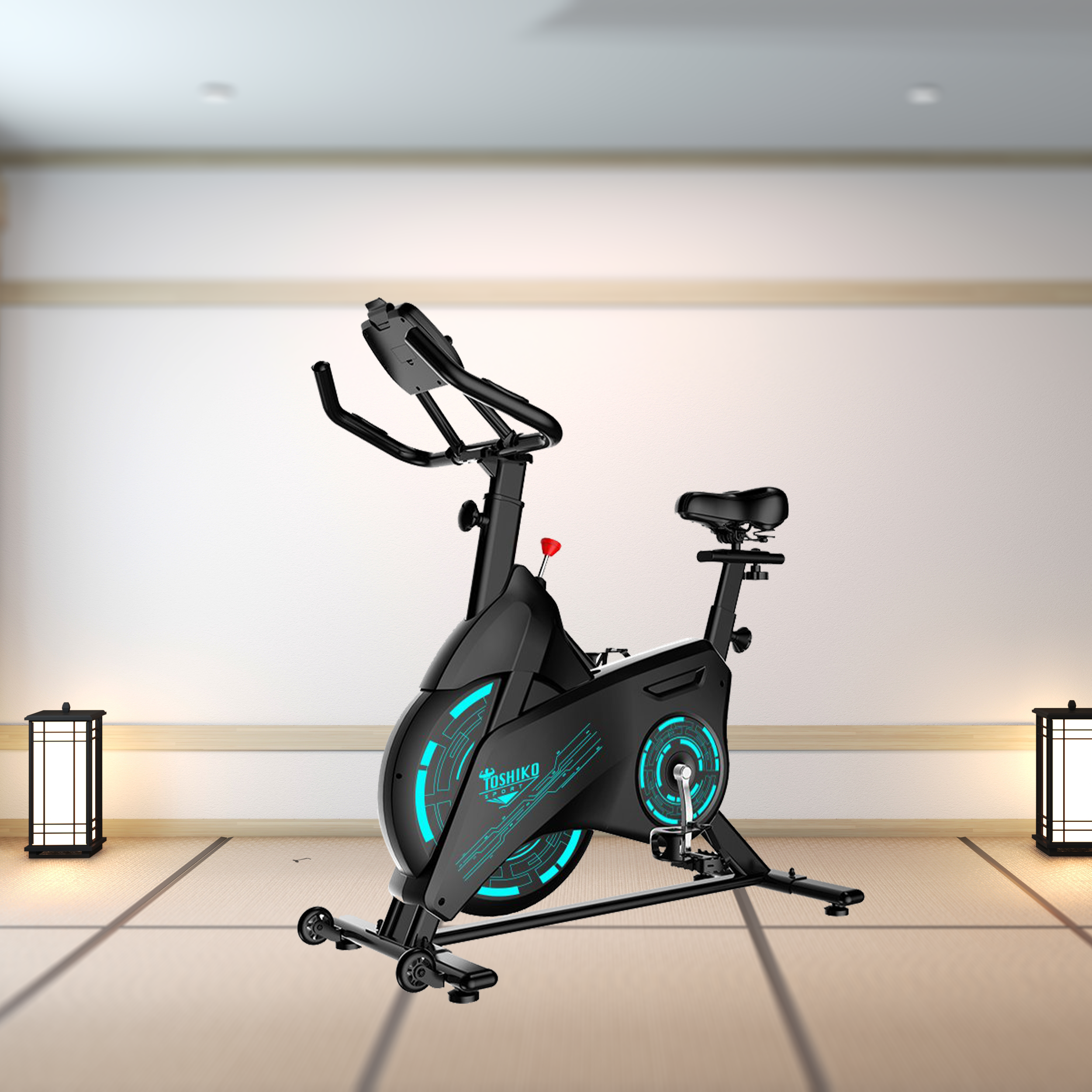 Xe đạp tập cho người cao tuổi Toshiko X12