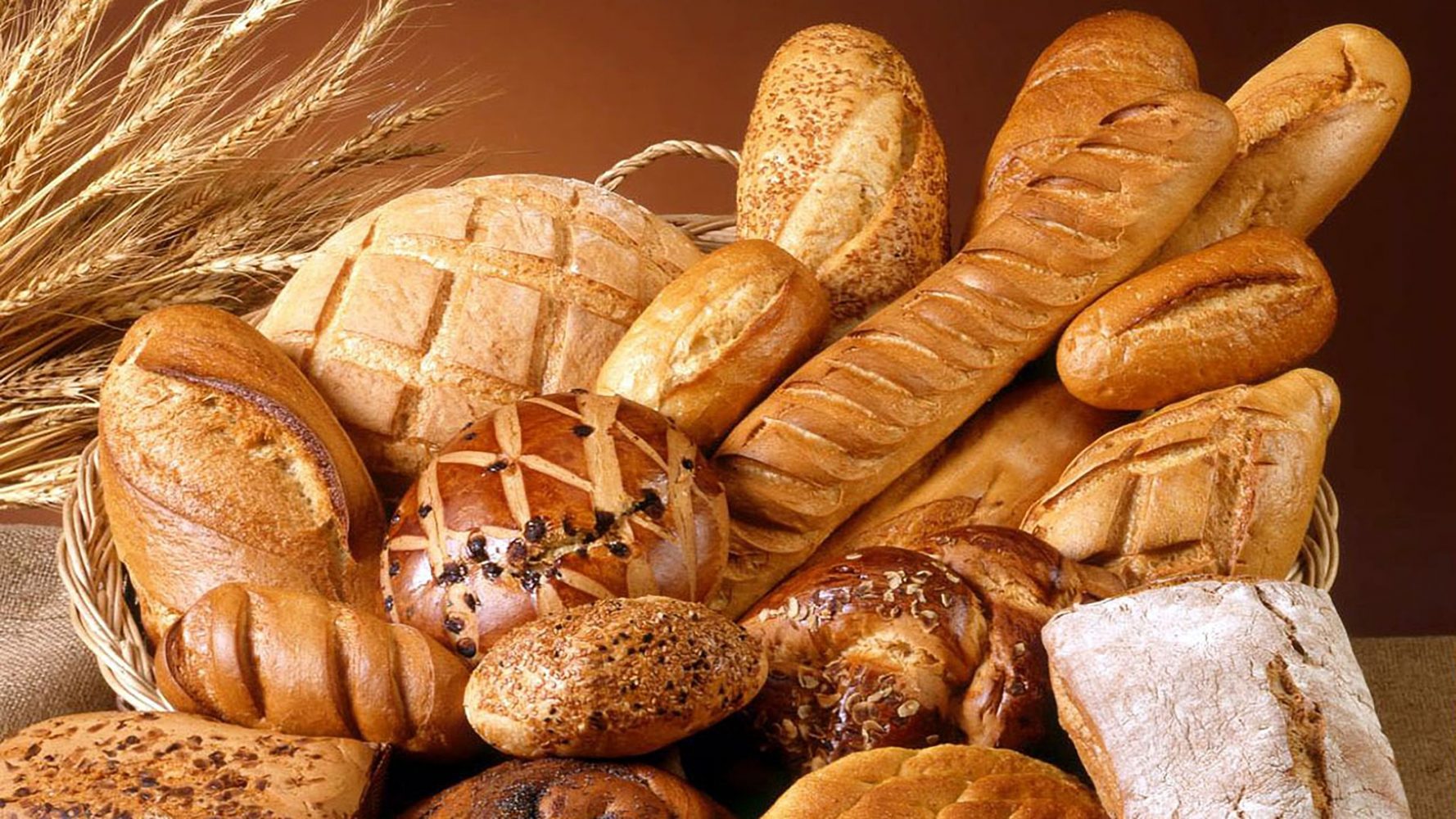 Ăn bánh mì có mập không?